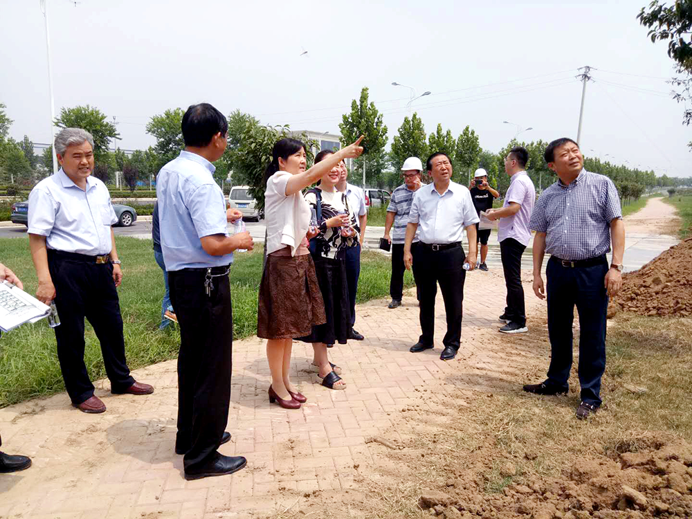 市、區(qū)領導參觀泰投創(chuàng)新生態(tài)社區(qū)科技園項目