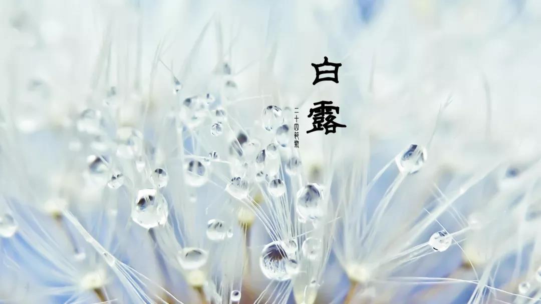 微信圖片_20210916110442